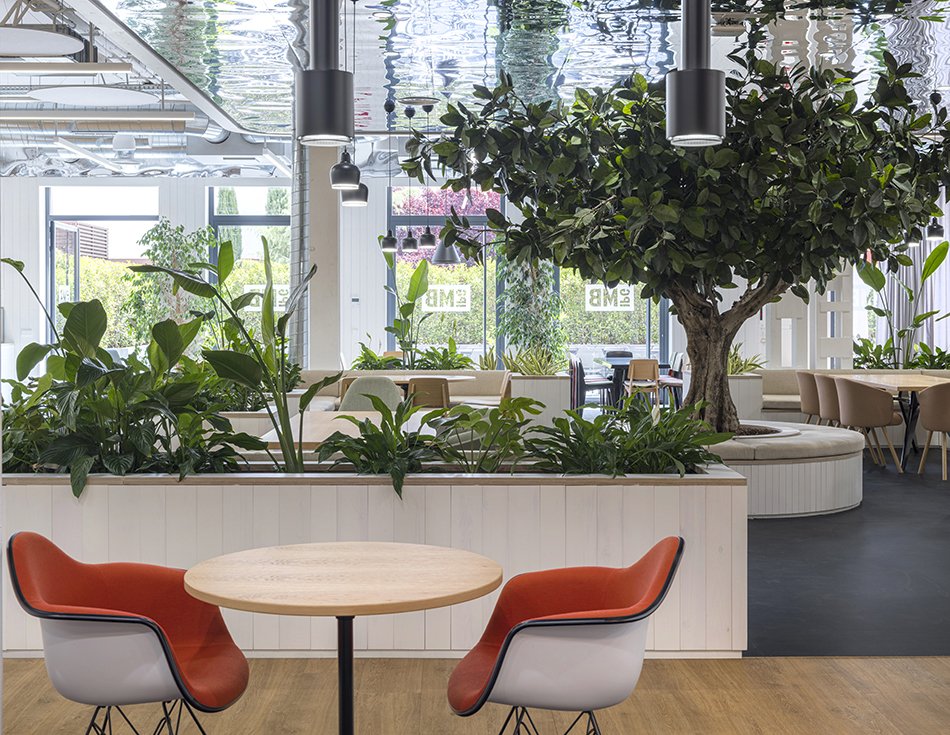 rpn-ruiz-pardo-nebreda-mediabrands-office-expansion-madrid  (12).jpg