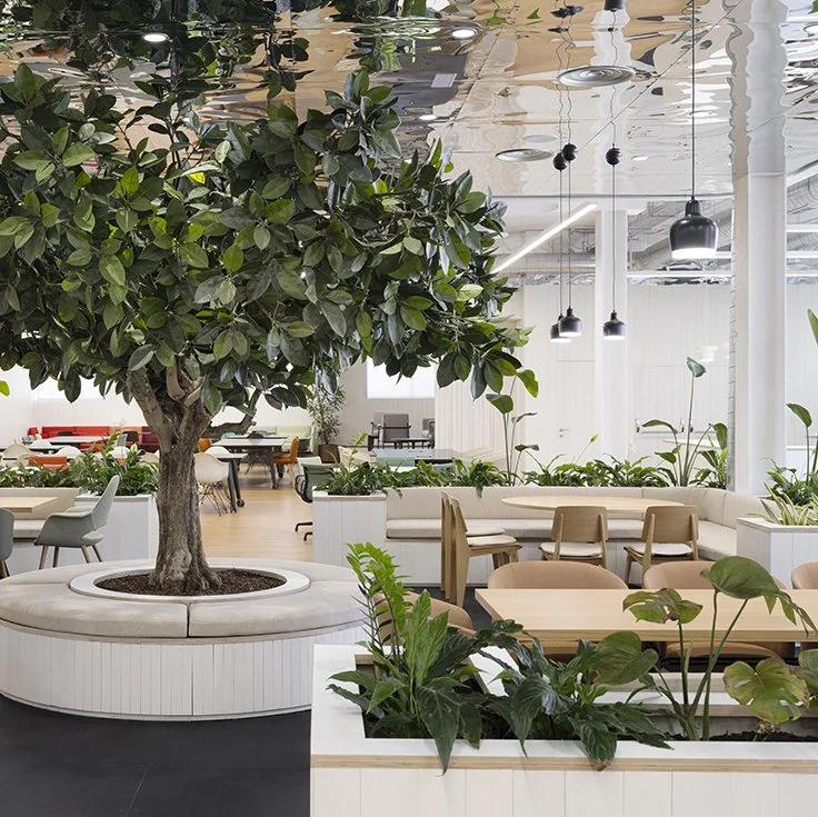 rpn-ruiz-pardo-nebreda-mediabrands-office-expansion-madrid  (16).jpg