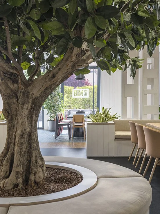 rpn-ruiz-pardo-nebreda-mediabrands-office-expansion-madrid  (17).jpg