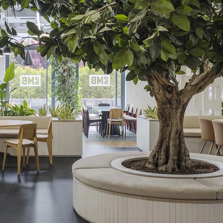 rpn-ruiz-pardo-nebreda-mediabrands-office-expansion-madrid  (18).jpg