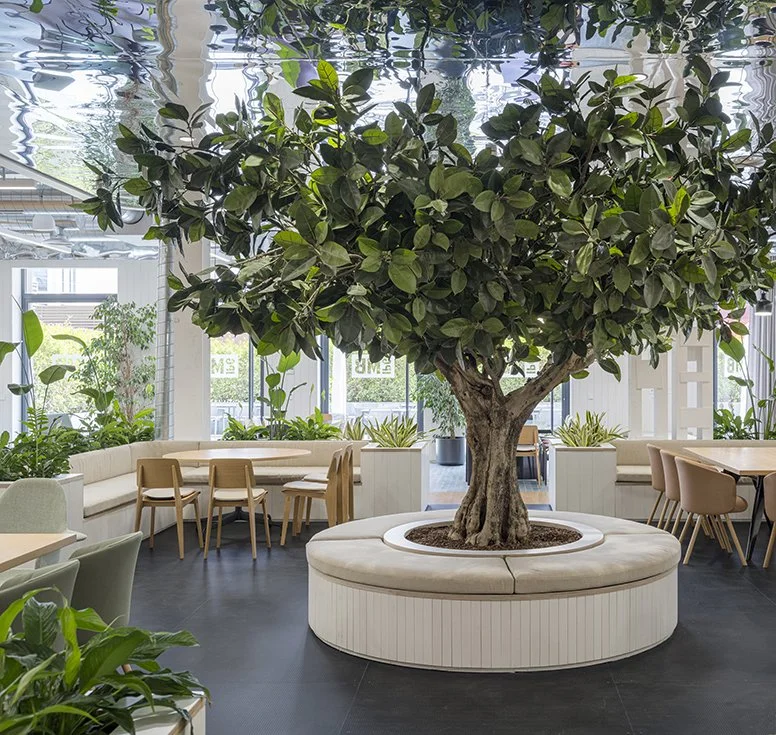 rpn-ruiz-pardo-nebreda-mediabrands-office-expansion-madrid  (19).jpg