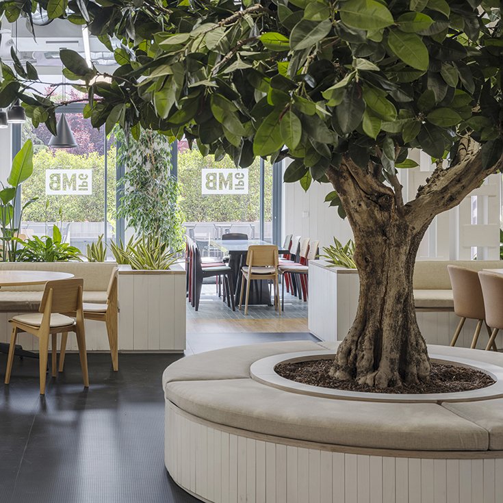 rpn-ruiz-pardo-nebreda-mediabrands-office-expansion-madrid (18).jpg