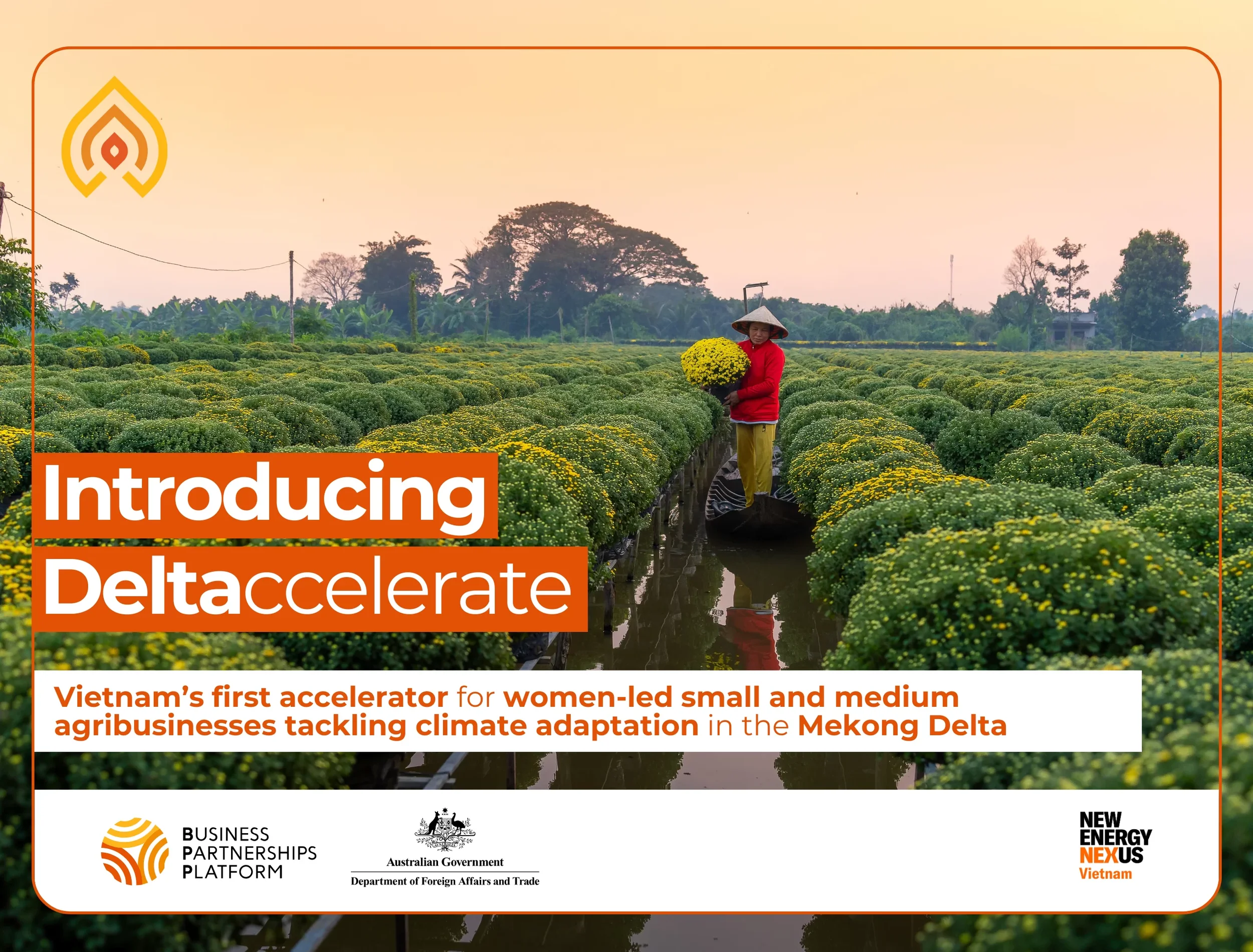 BPP-launching-Deltaccelerate-website-cover-image.webp