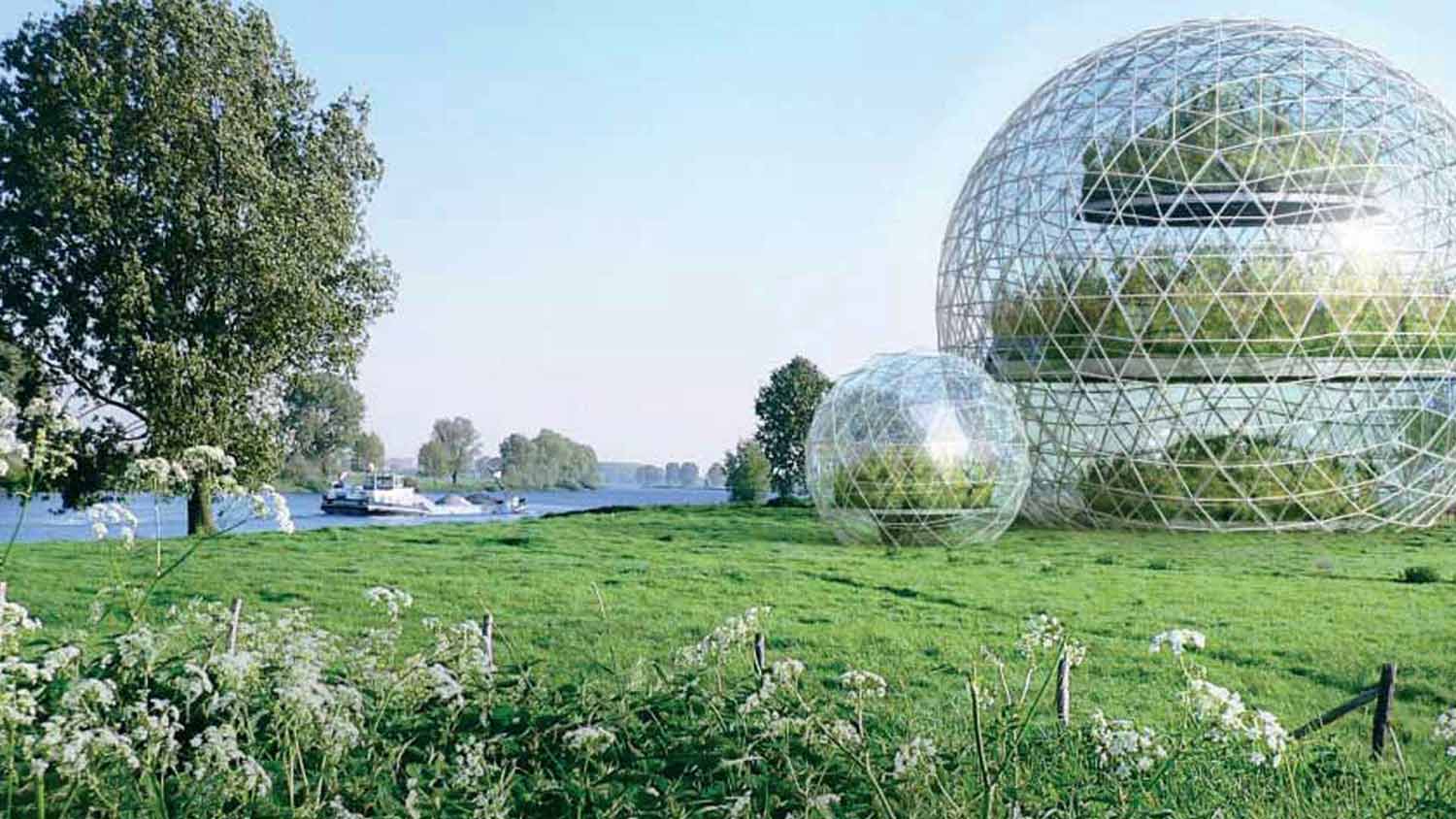 agriculture-environment.jpg
