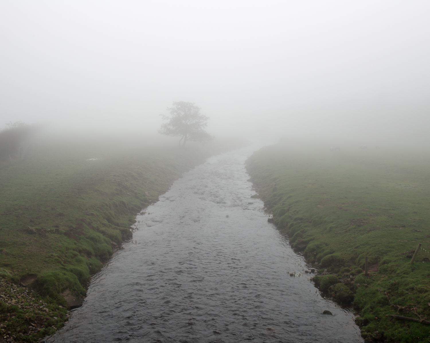 River Sark