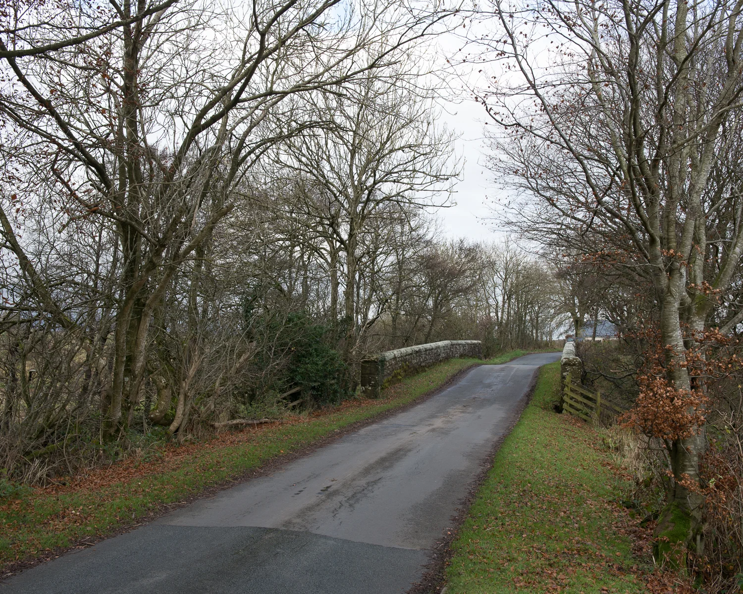 Englishtown 2