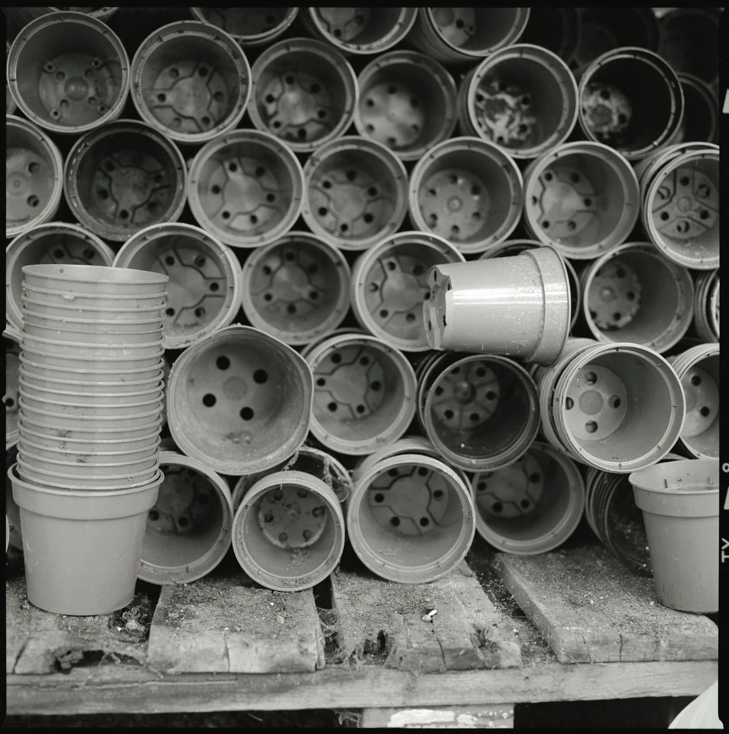 Pots