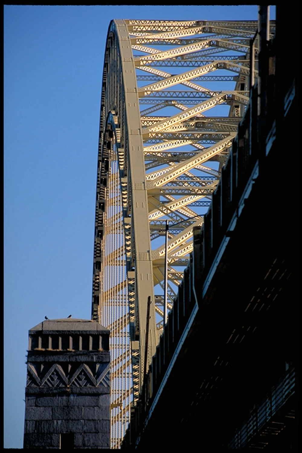 IMG0023.jpg