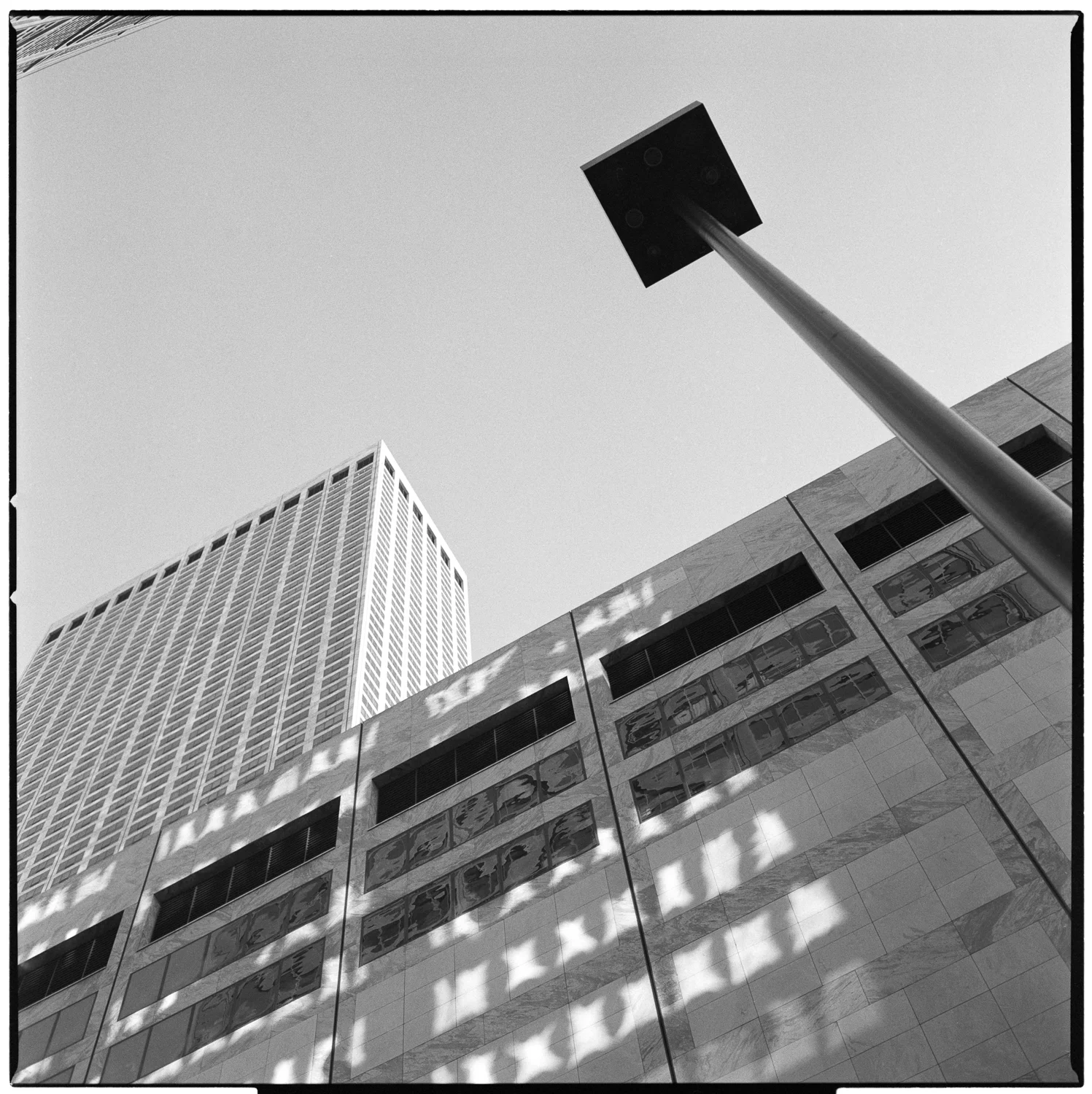 Chestnut Street Light