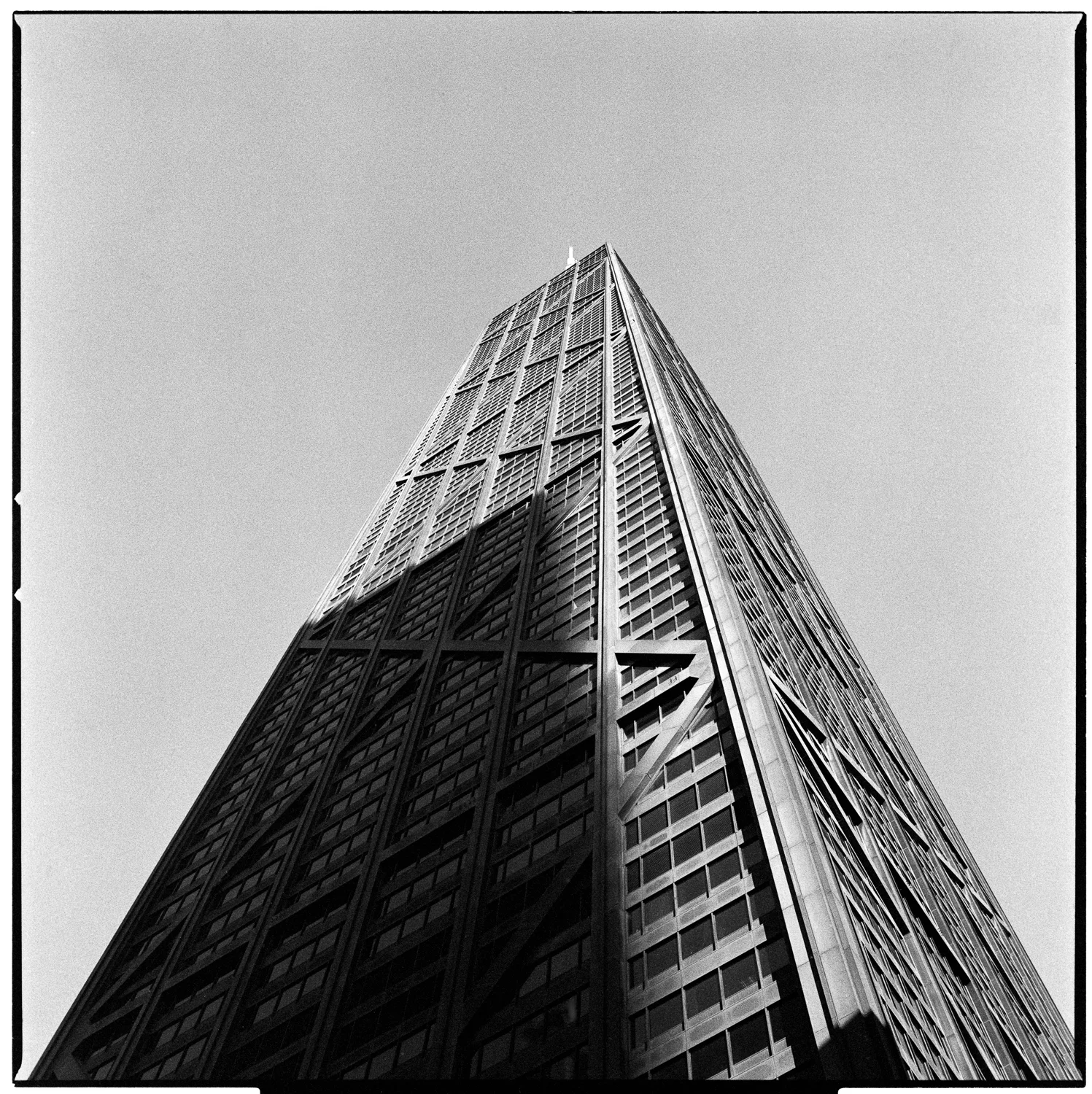 The Tower