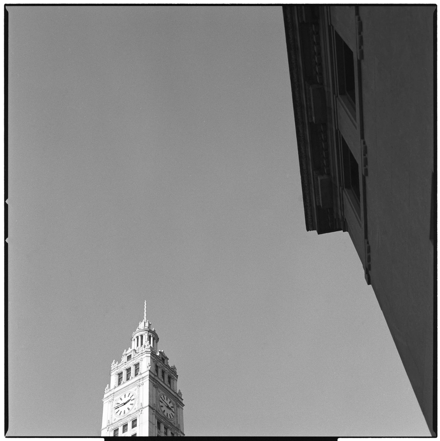 Wrigley Building 1