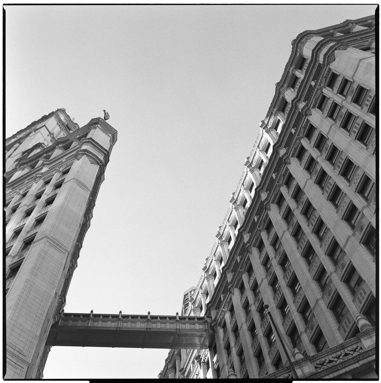 Wrigley Building 3