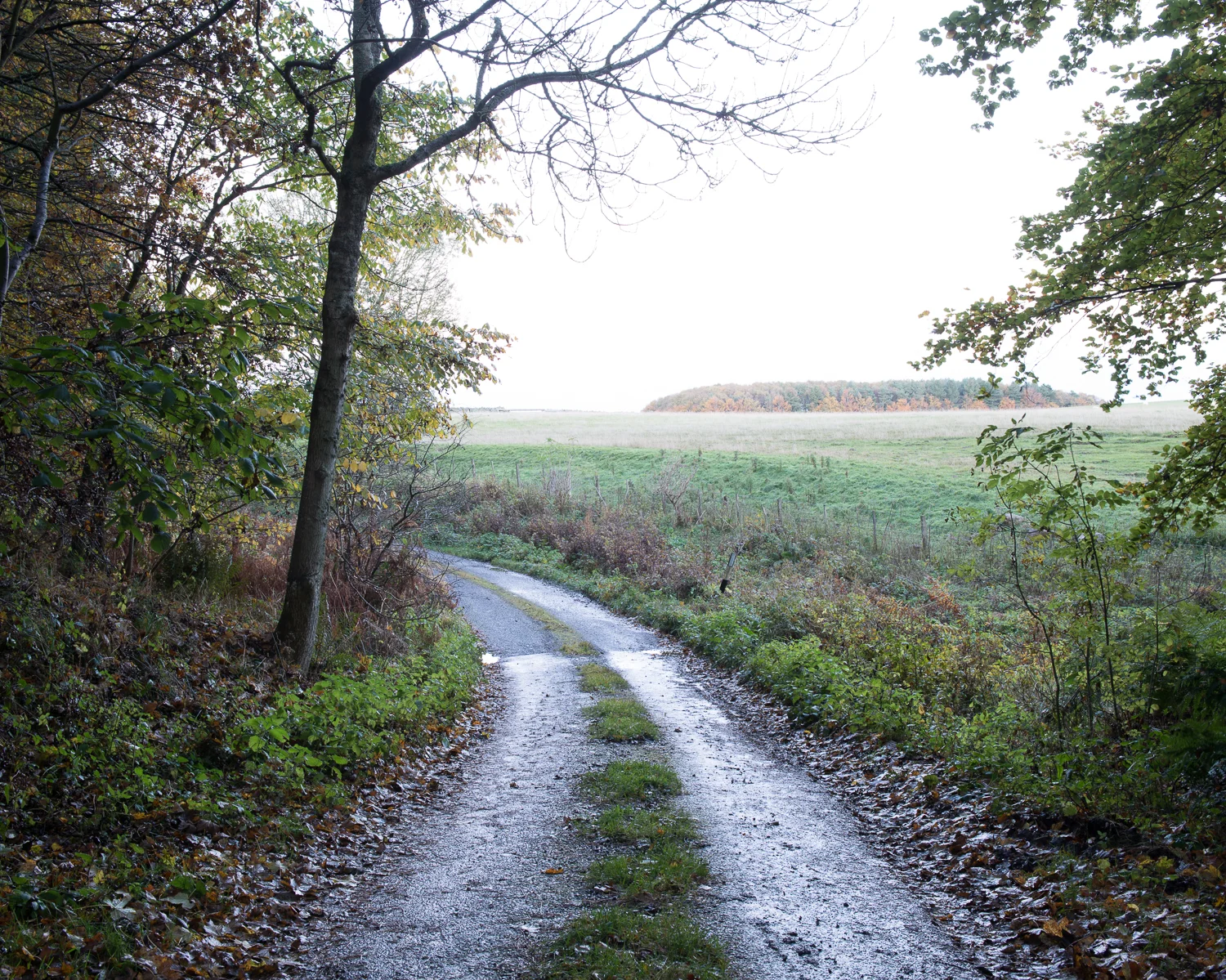 JAF_2472.jpg