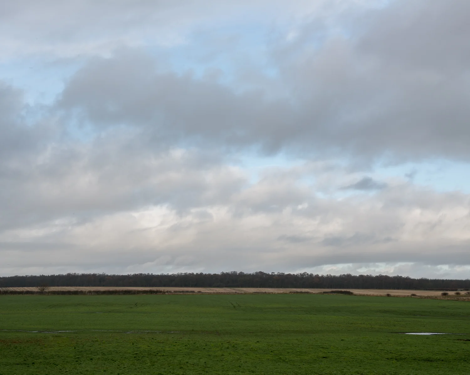 JAF_4274.jpg
