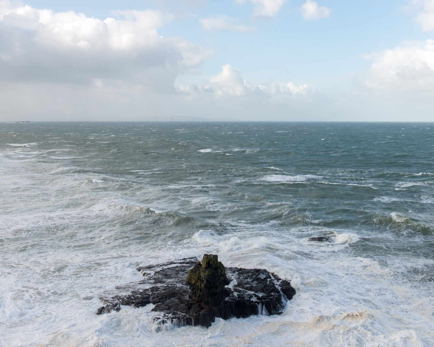 DSC_4889.jpg
