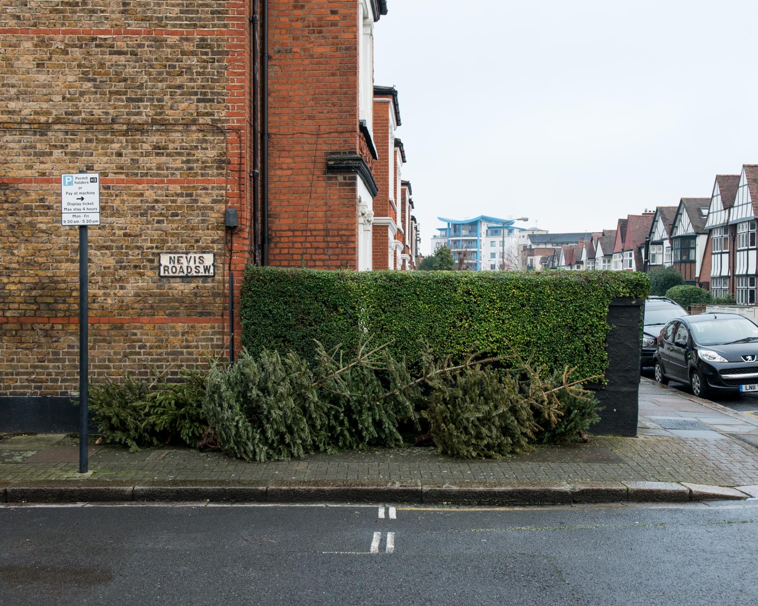 DSC_2945.jpg