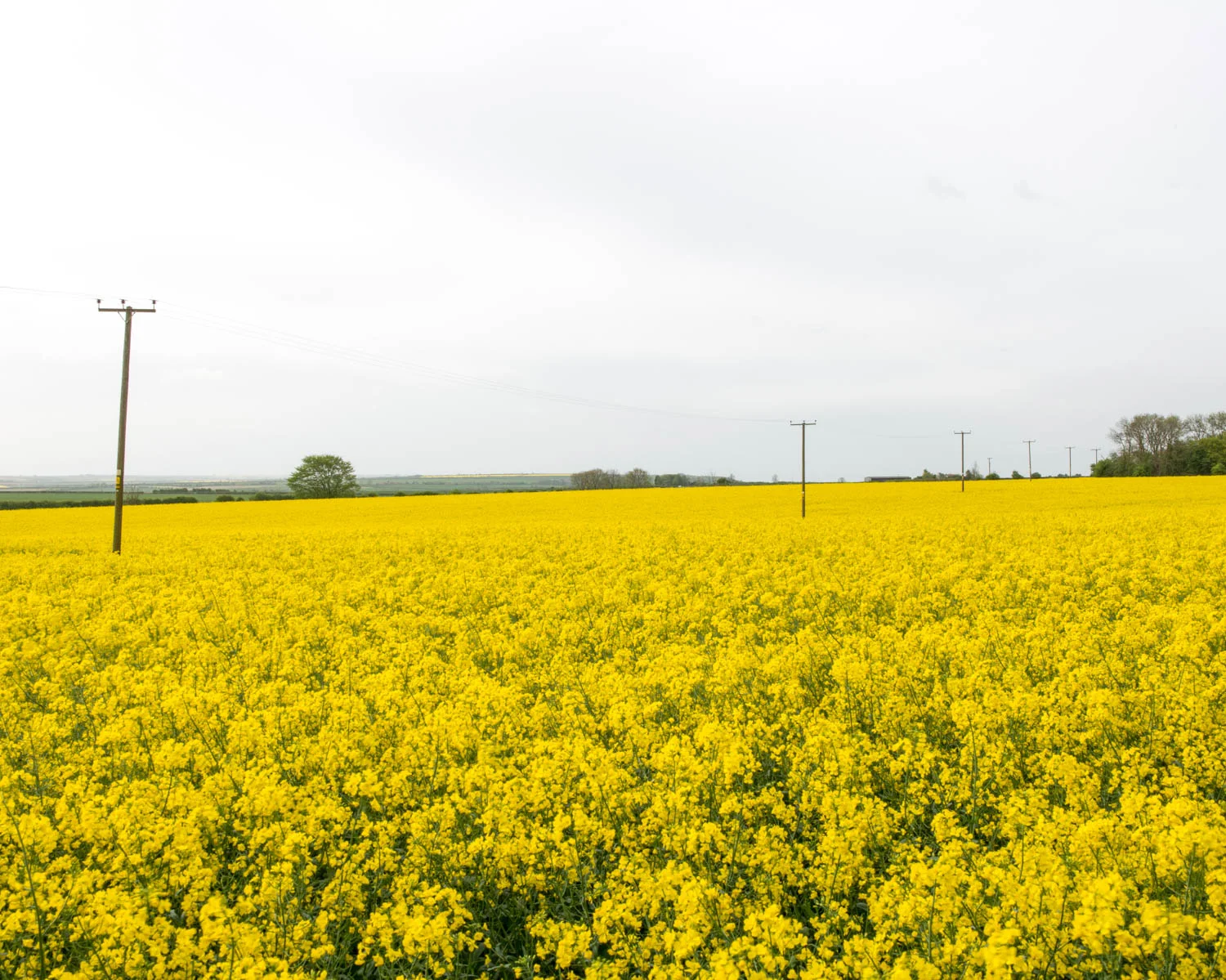 World War I Airfield, Elsham Wolds, Lincolnshire 2015