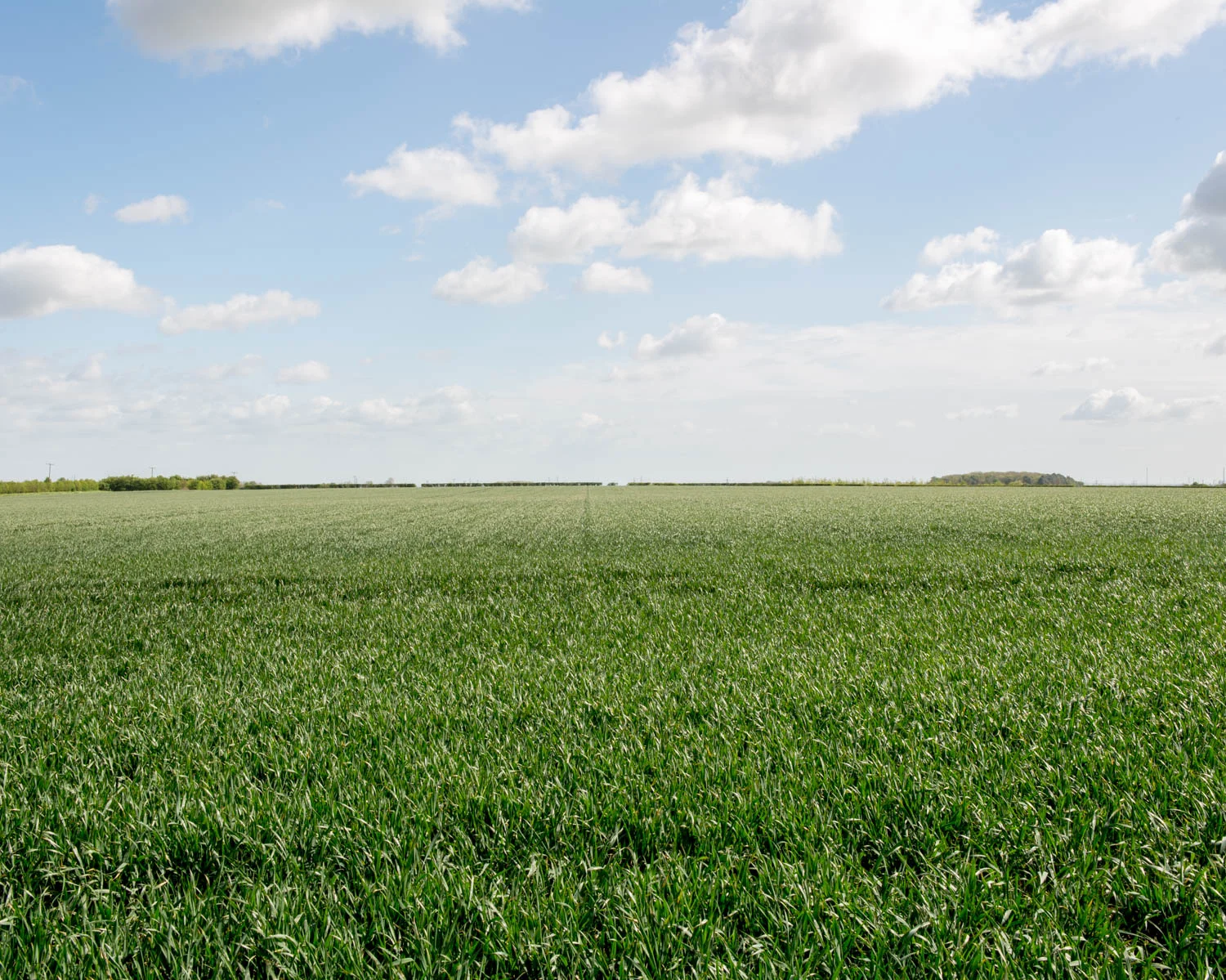 World War I Airfield, Elsham Wolds, Lincolnshire 2015