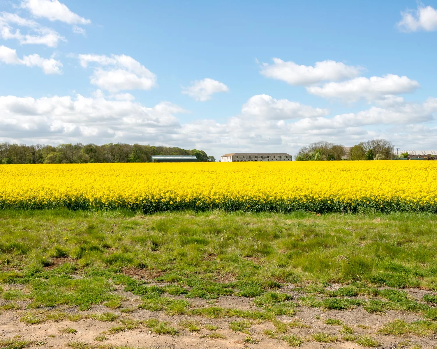 Access Road to Sergeants Mess, Elsham Wolds, Lincolnshire 2015