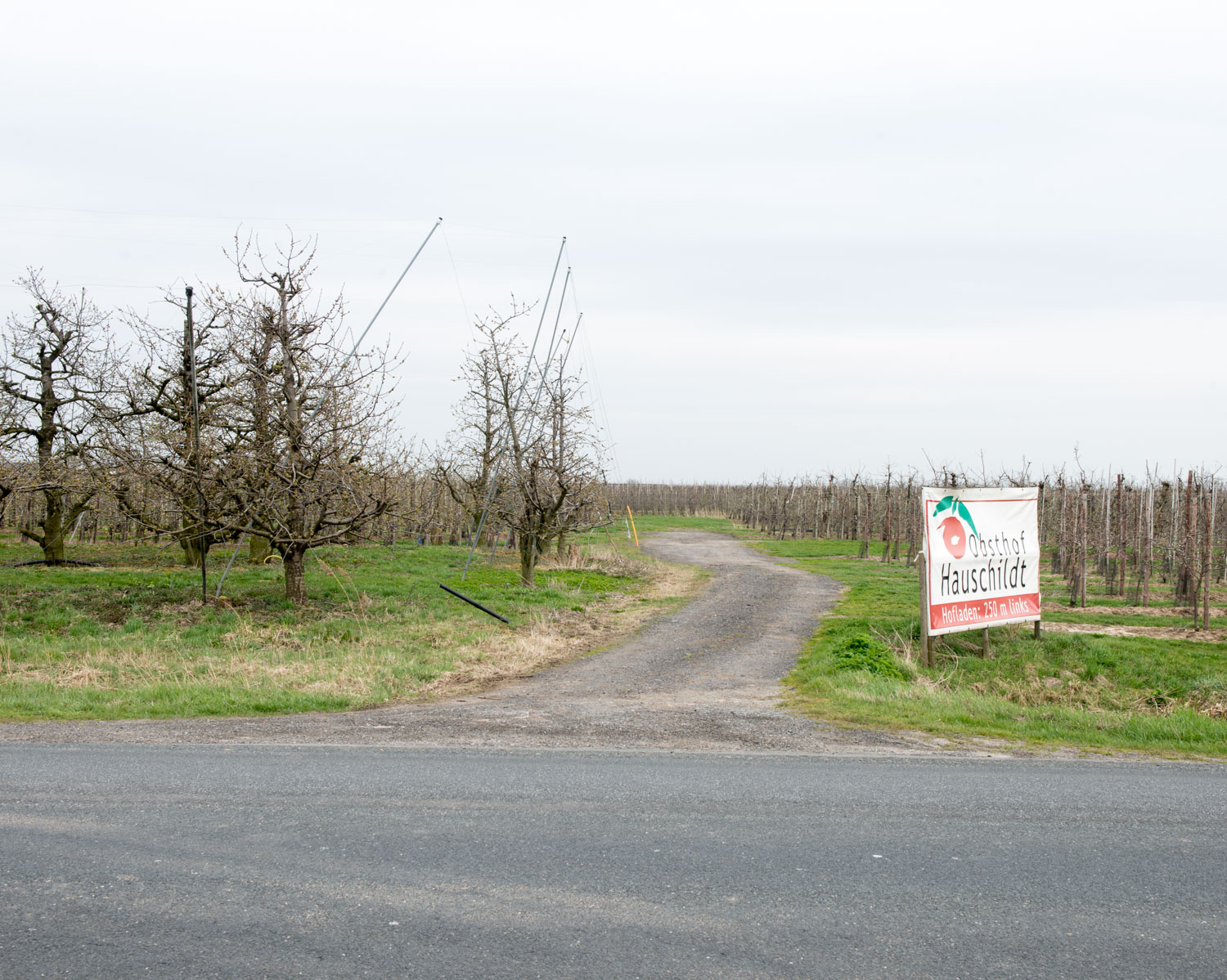 DSC_5949.jpg