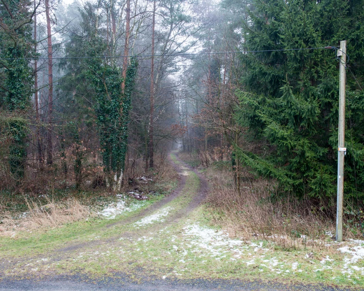 JAF_3621.jpg