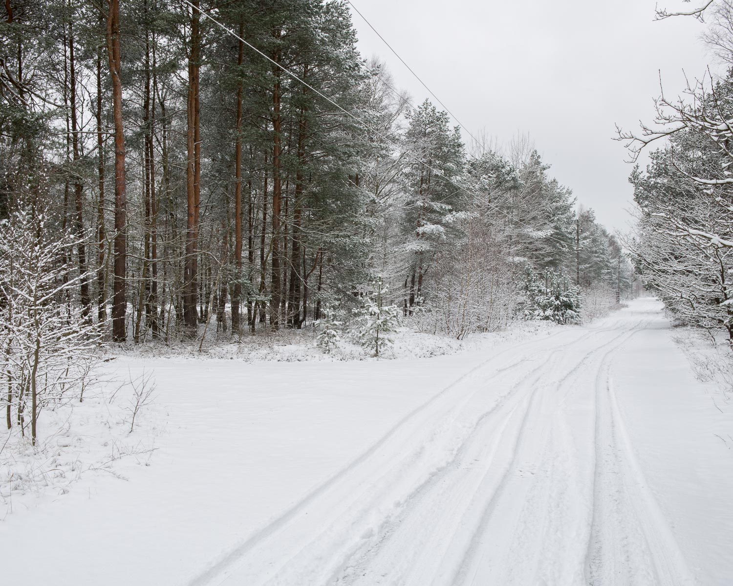 JAF_2707.jpg