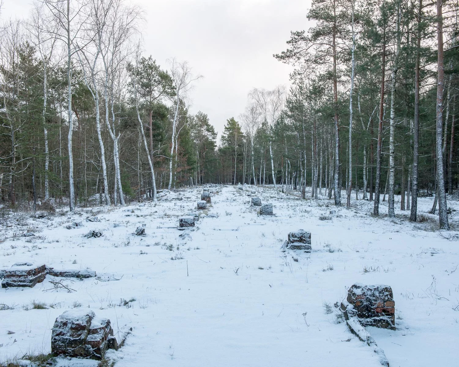 JAF_3759.jpg