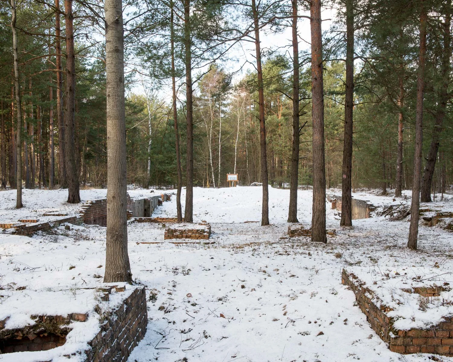 JAF_3906.jpg
