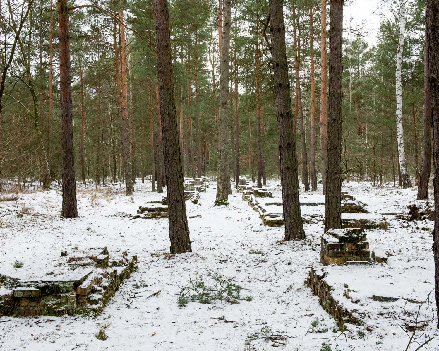 JAF_4022.jpg