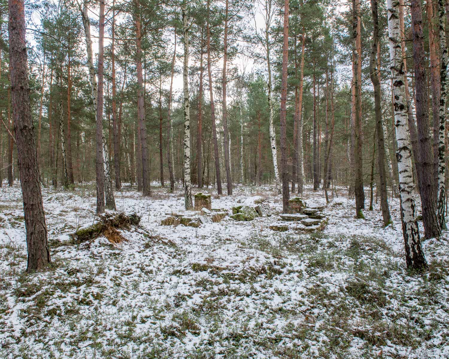 JAF_4150.jpg