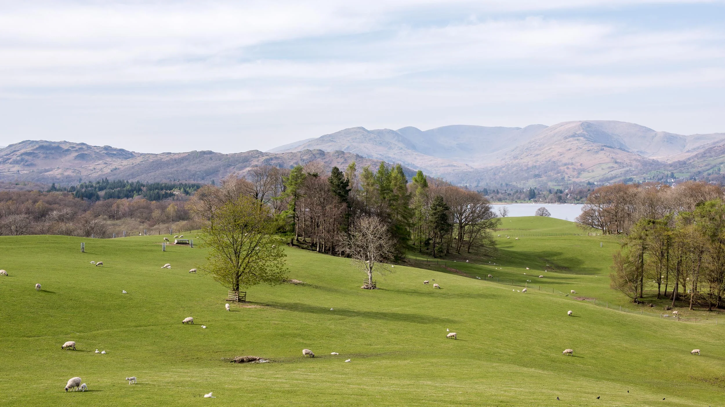 Grounds at Castle Wray