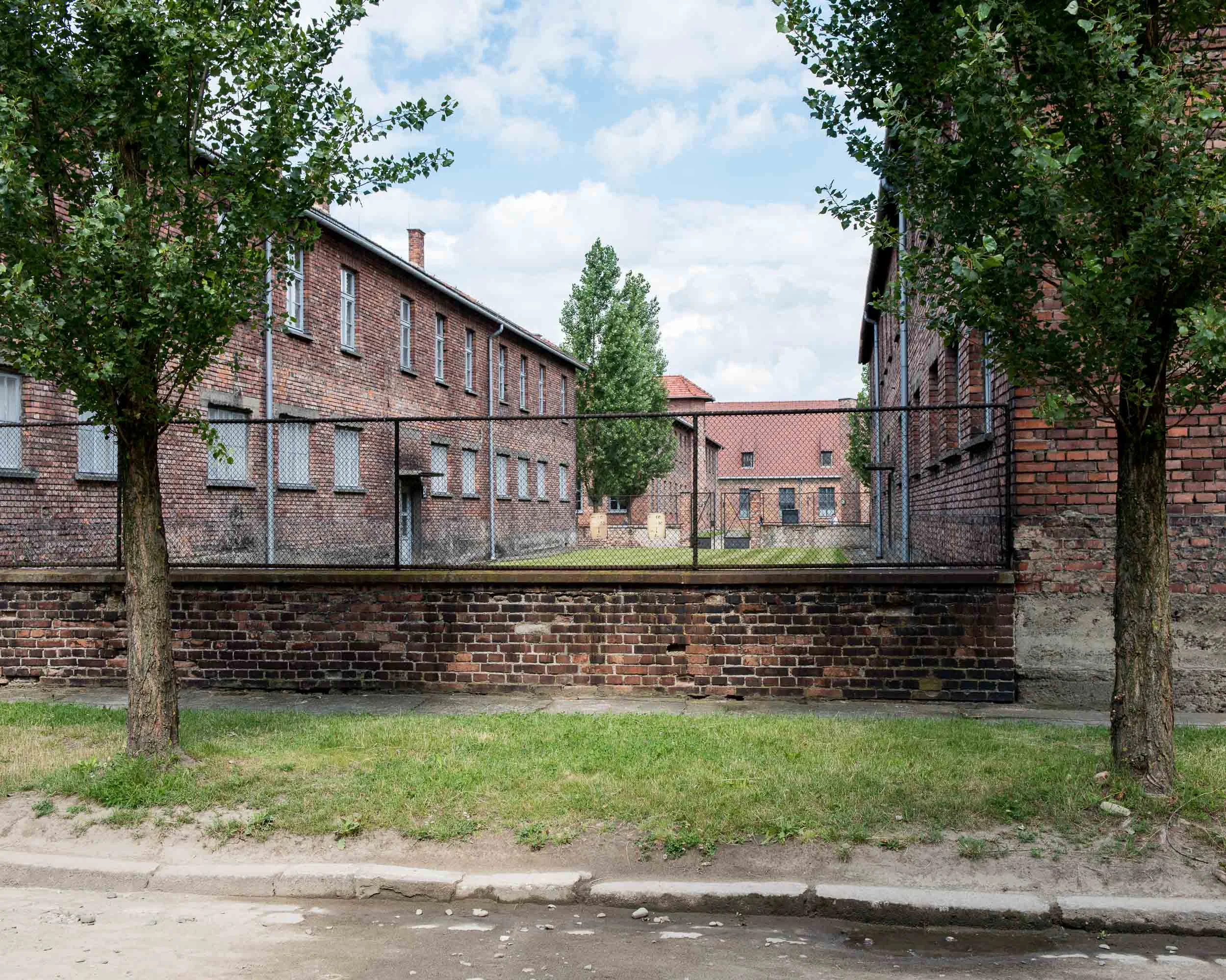 JAF_3245.jpg