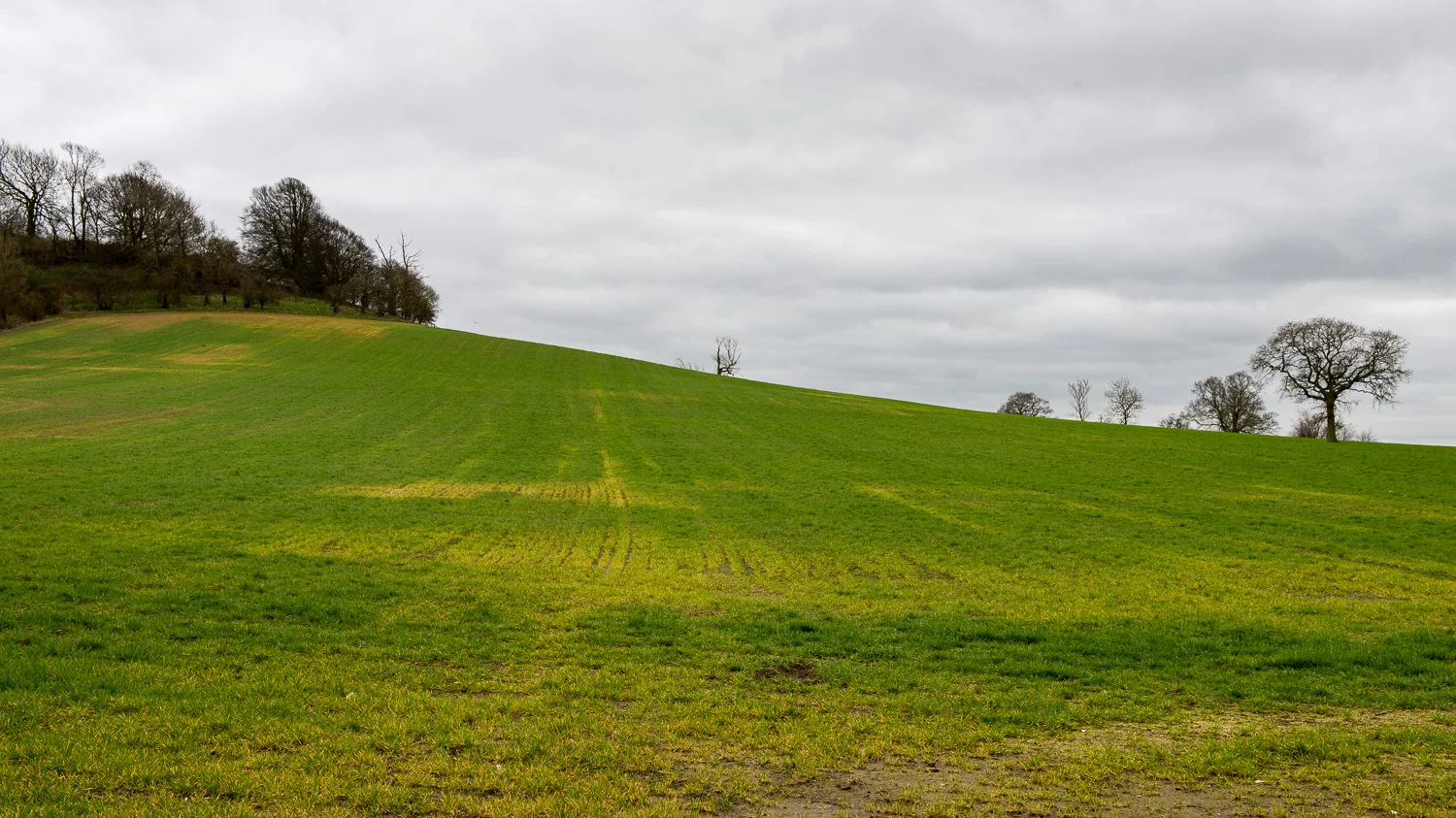 Arbury Hill, Northamptonshire - March 2017