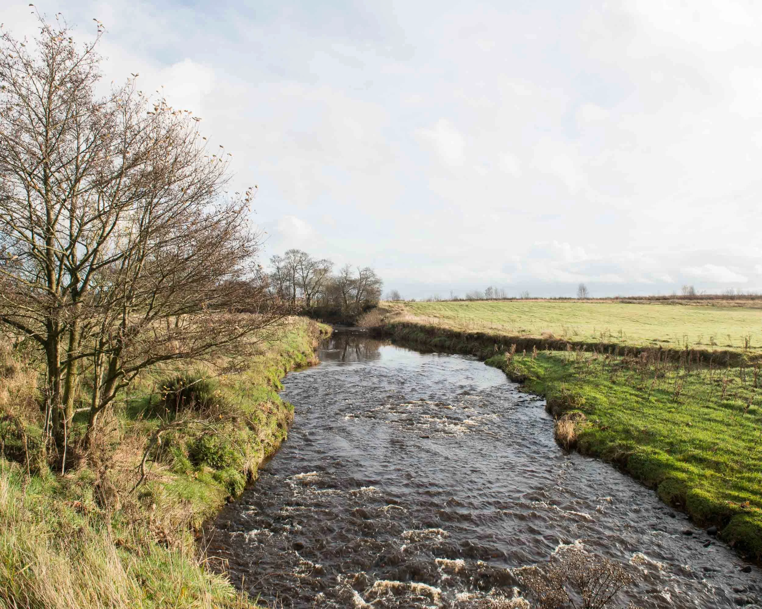 A small river flowing through a grassy landscape with leafless trees on the left and open fields on the right, under a partly cloudy sky.