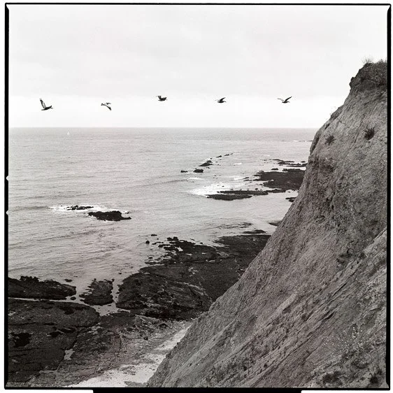 Black and white photo of a rocky coastal cliff with the ocean and several flying birds in the background.