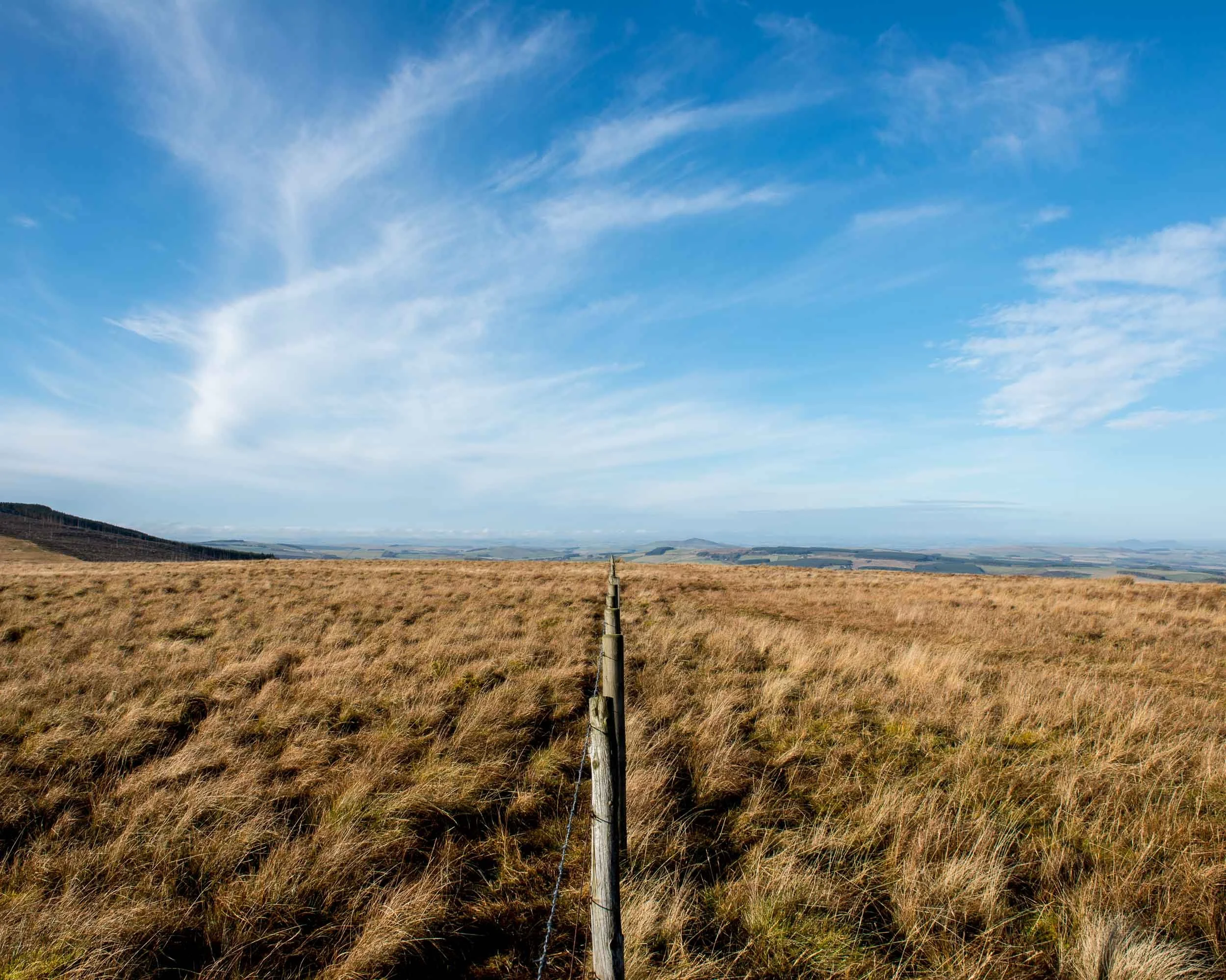 A vast open field with tall, golden grass stretching to the horizon under a bright blue sky with wispy white clouds, marked by a narrow wooden fence running down the center.
