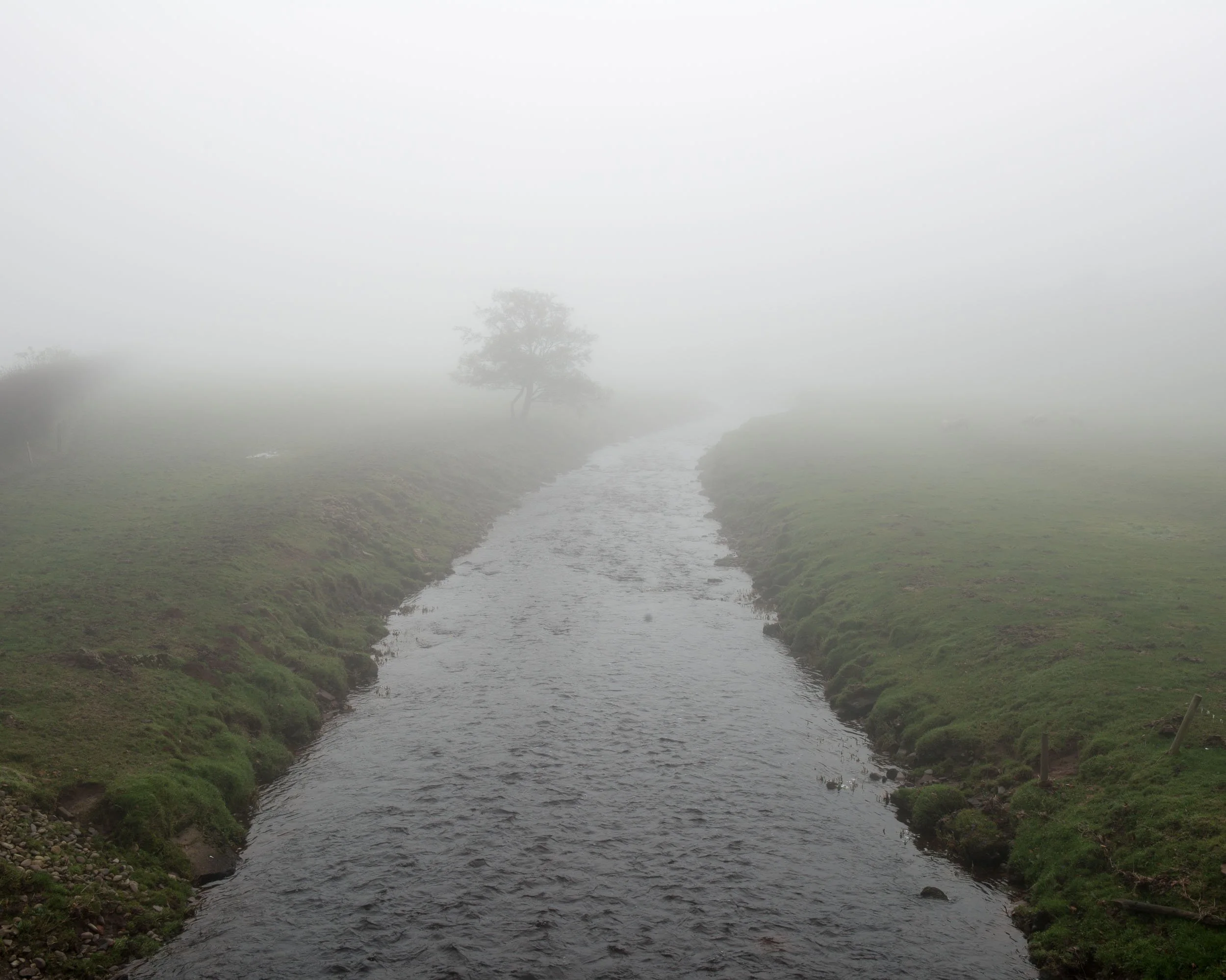 A foggy scene of a narrow river flanked by green grassy banks with a single tree in the distance.