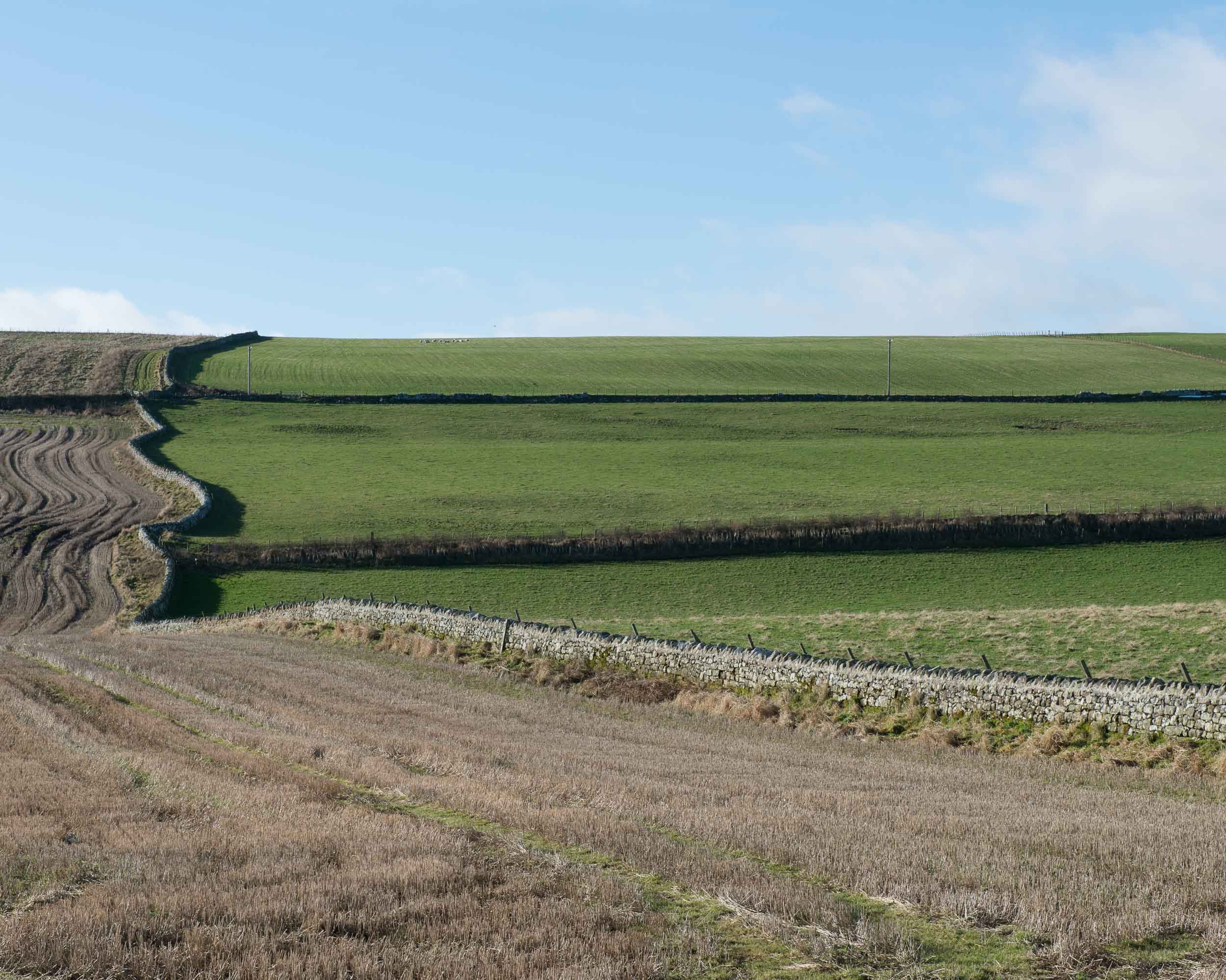 Hilly farmland with green fields separated by stone walls under a blue sky with light clouds.