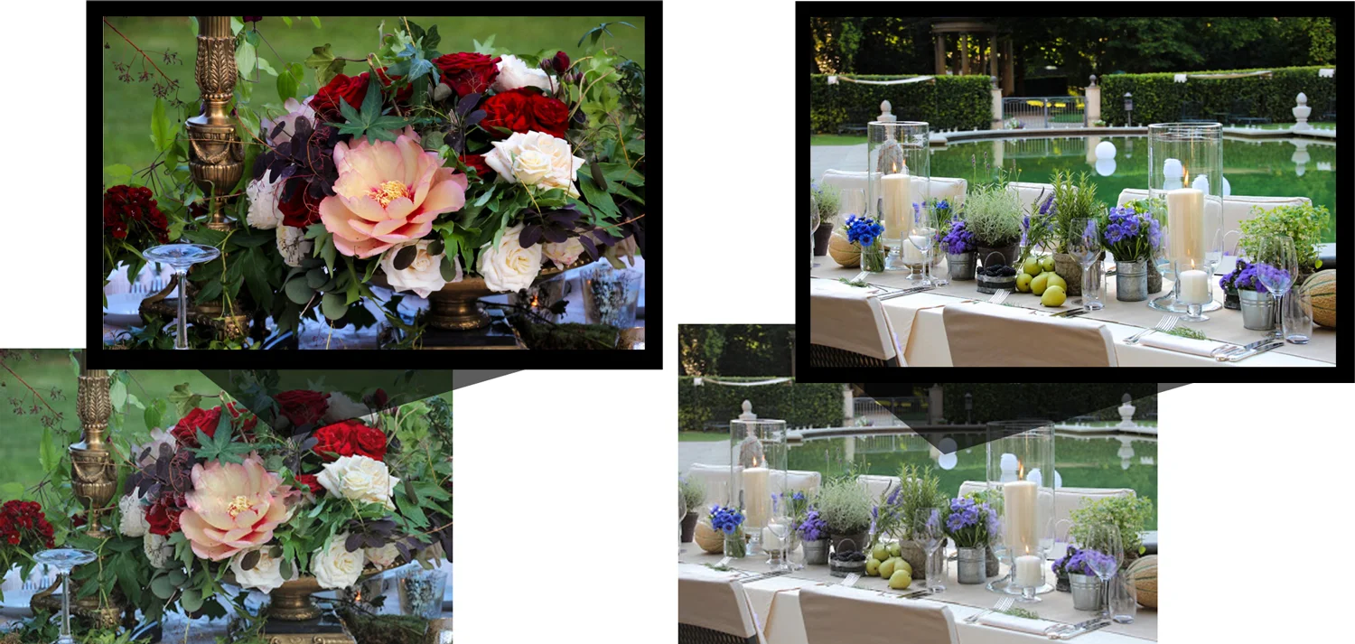 photo-editing-samples.jpg