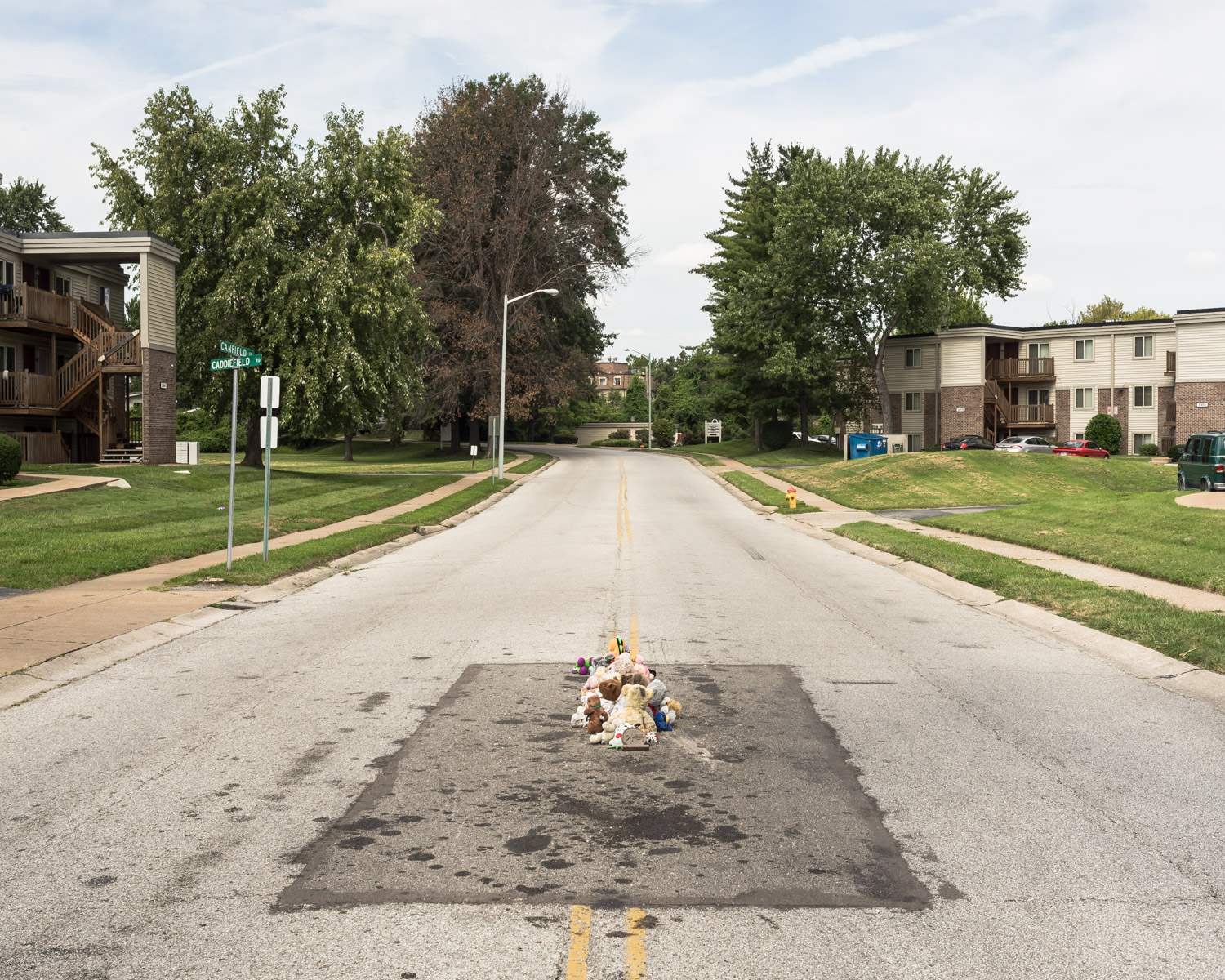  The Murder of Michael Brown, Ferguson, Missouri, 2016 