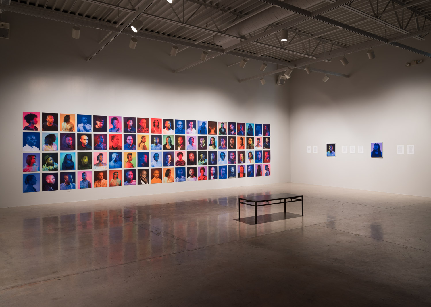  Joseph Gross Gallery, University of Arizona, 2017 