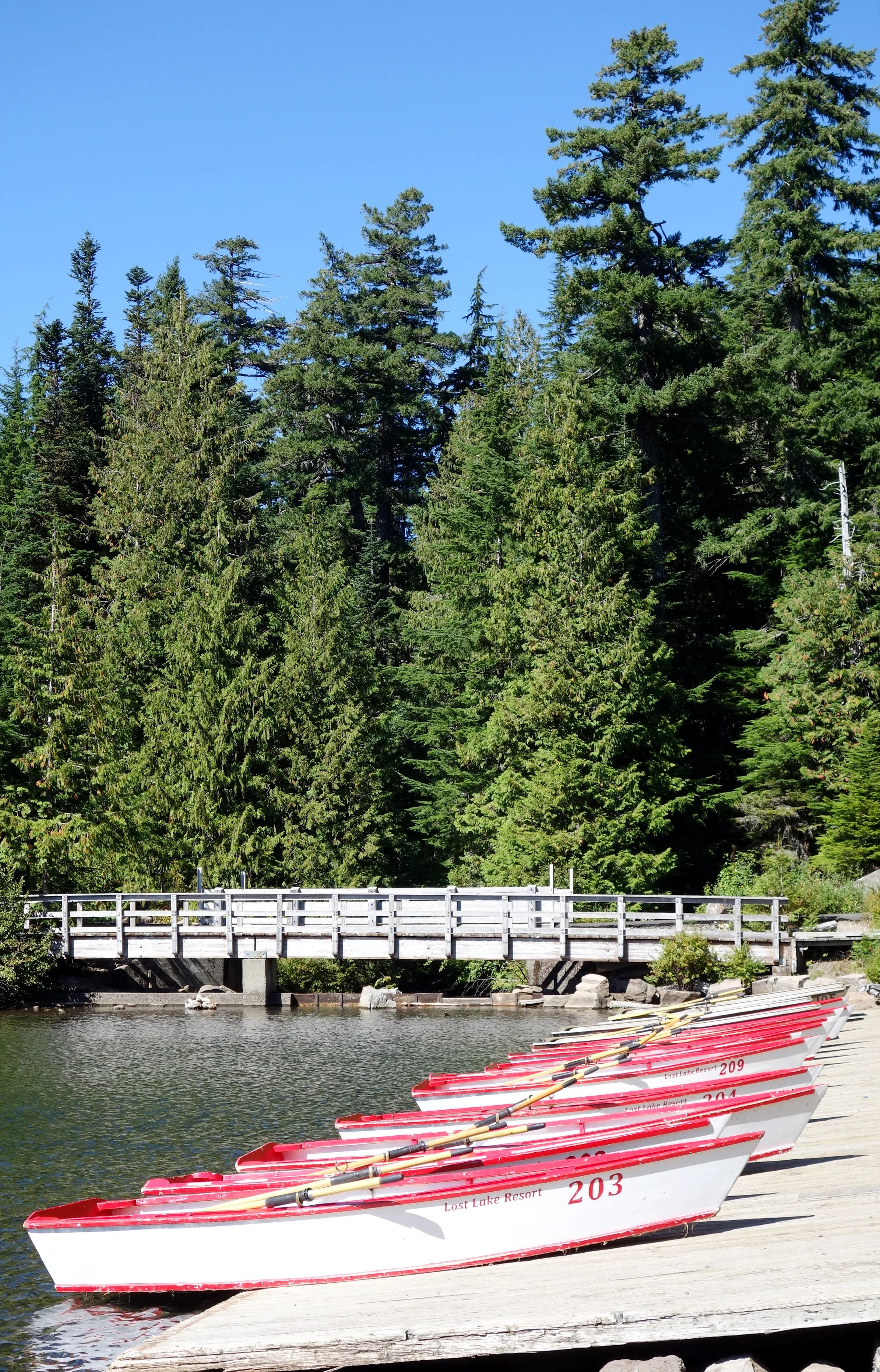 BOATS IN A ROW.jpg