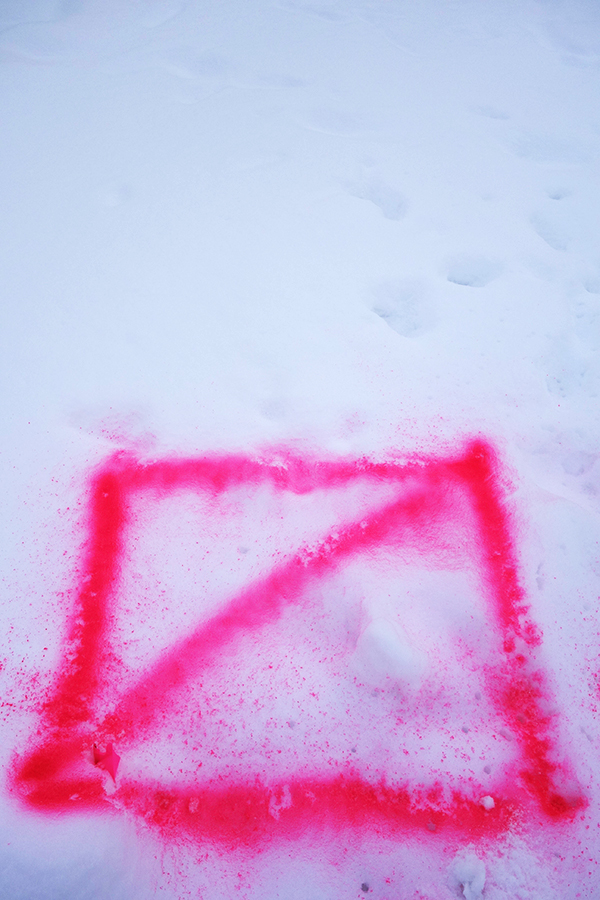 PINK SNOW 1.jpg