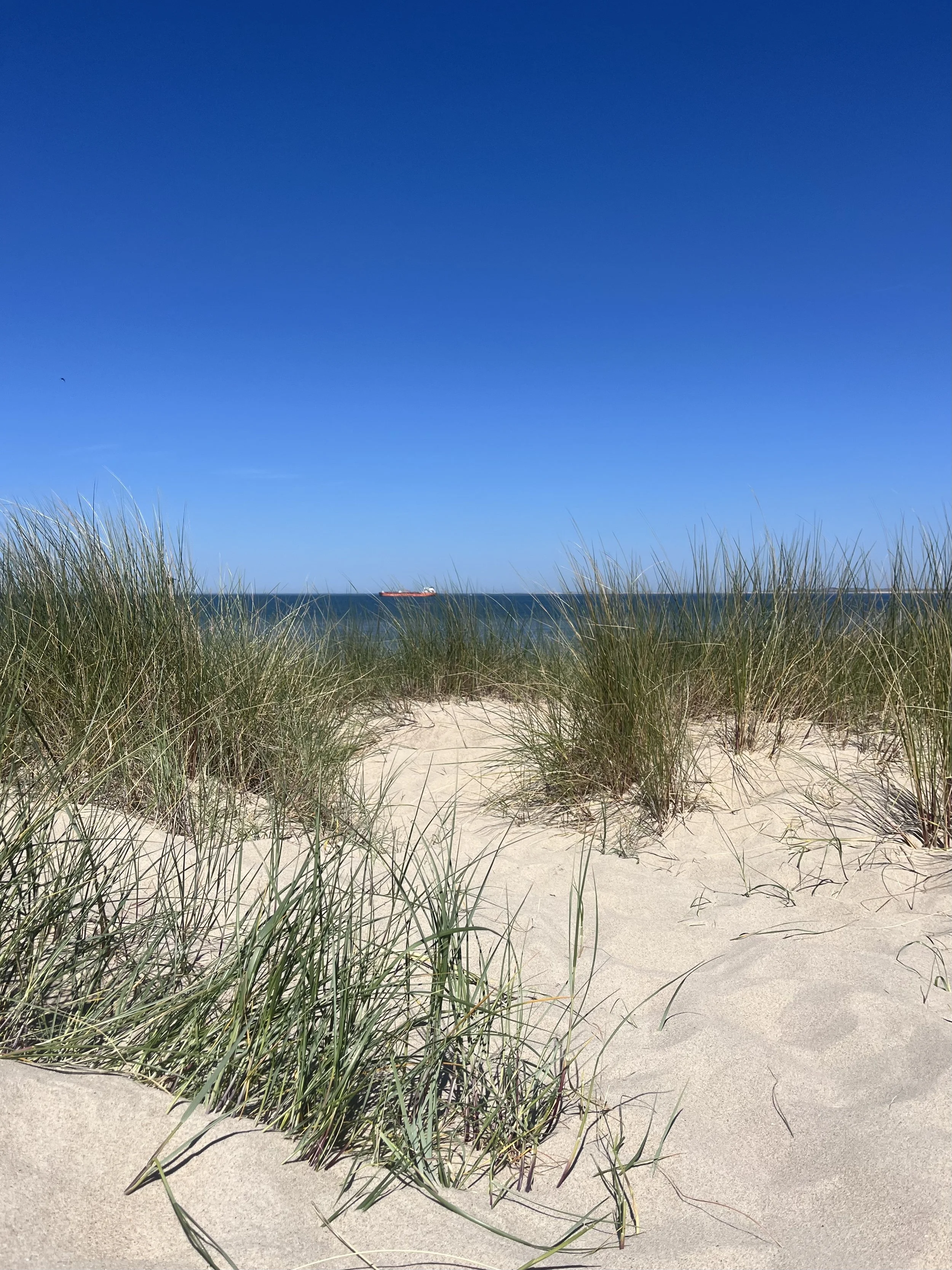 IMG_7432.jpeg