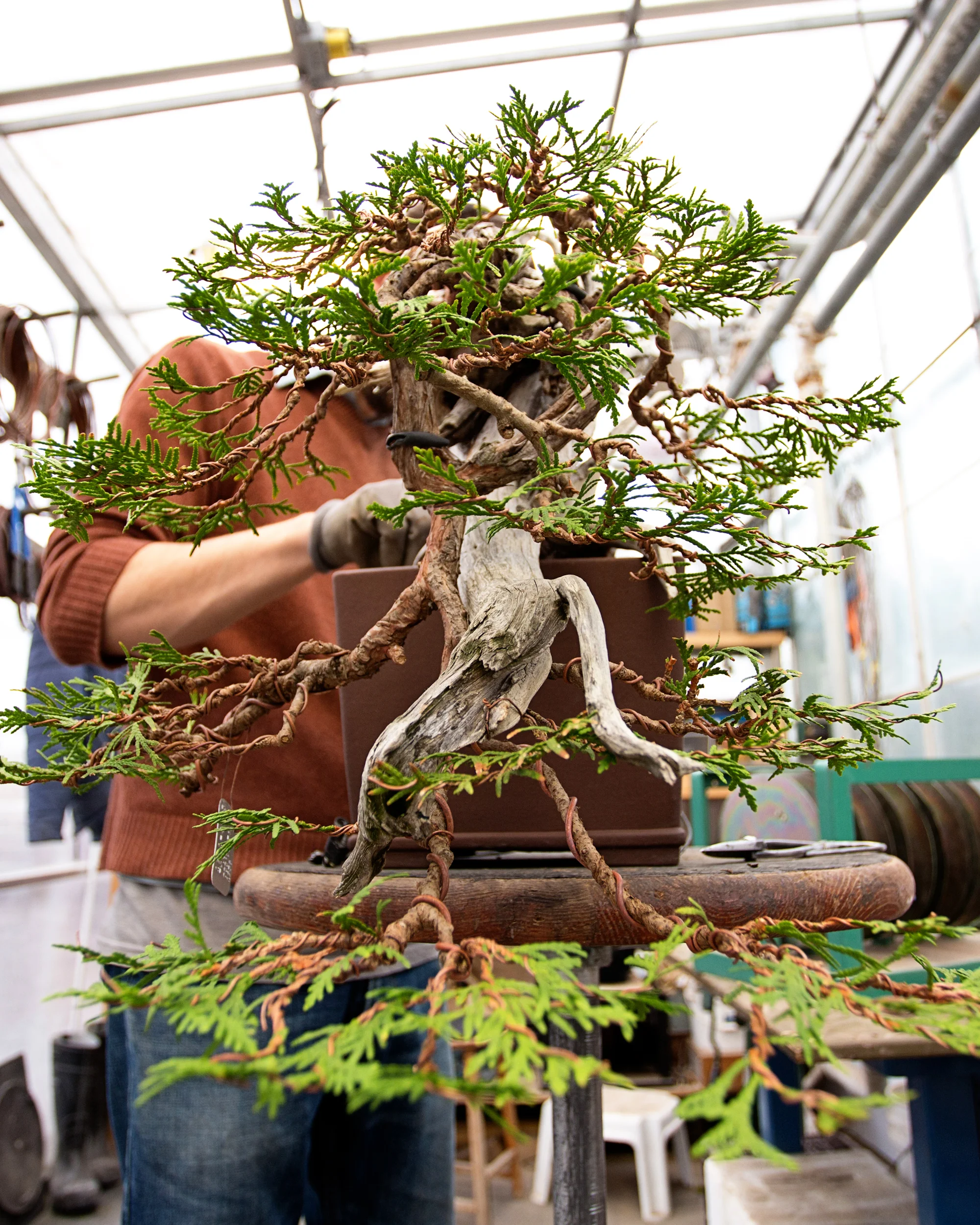 makingof_0041 copy.jpg