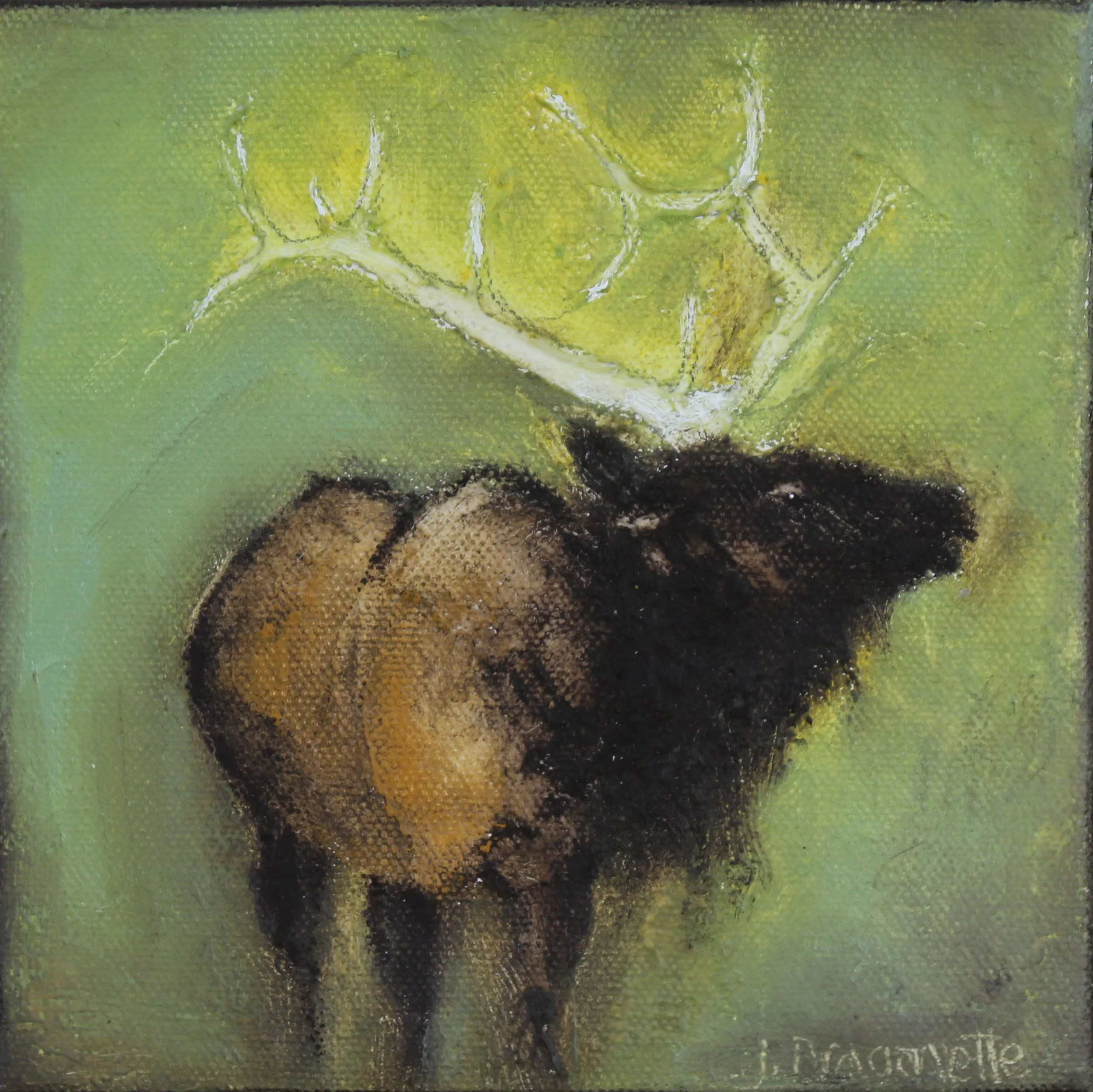 The Smell of Spring, 2019