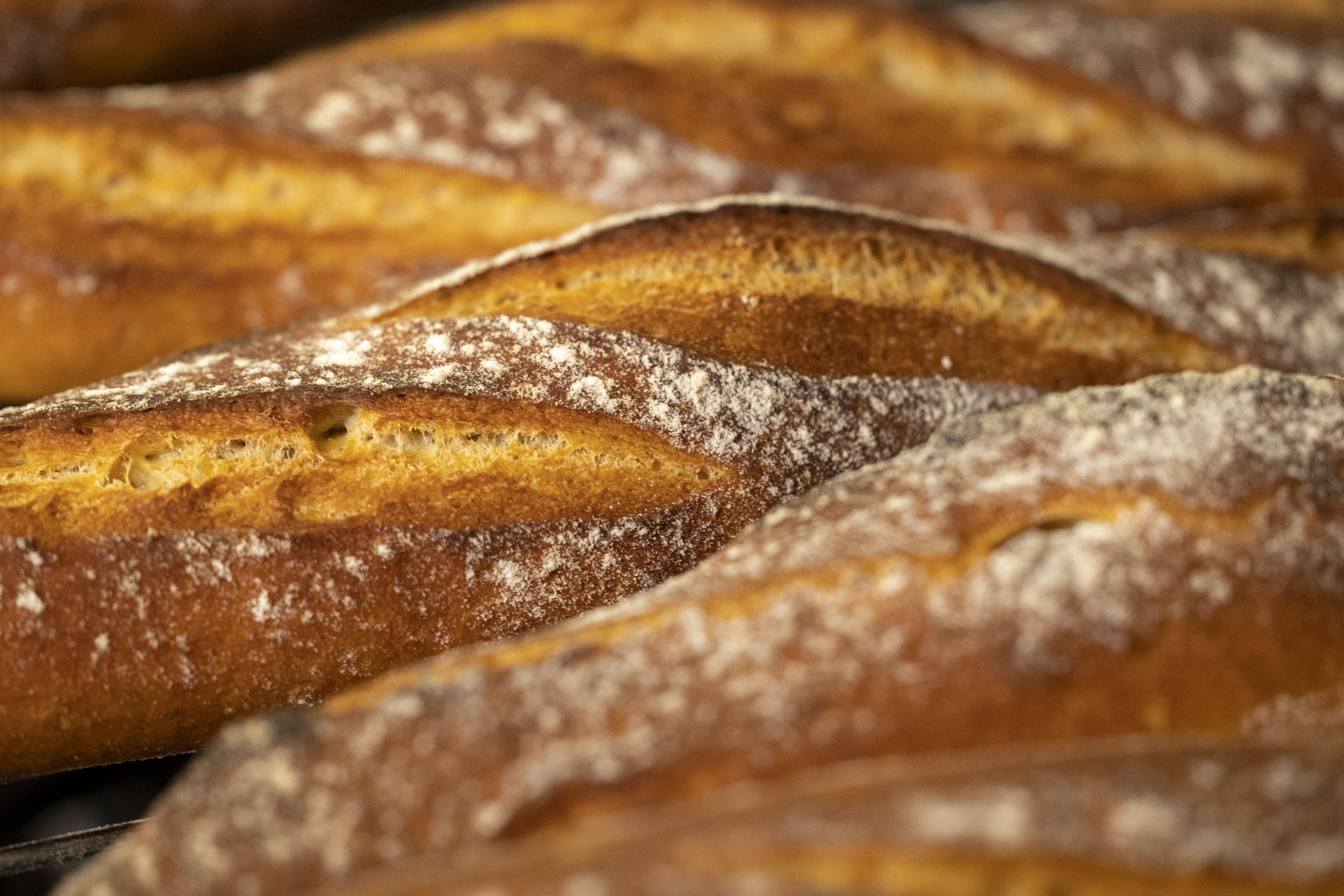 closeup baguette (crust).JPG