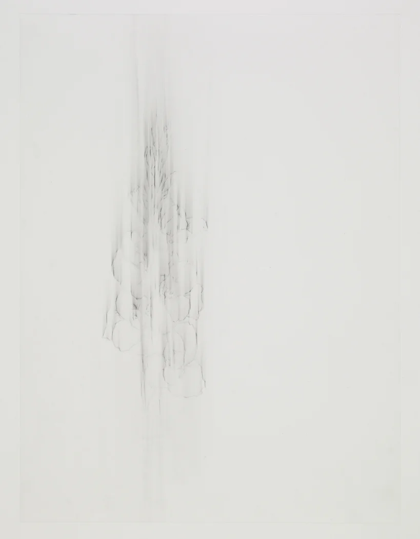 Bouquet , 2009, pencil on drafting film paper, 18 x 24 inches/ 45,5 x 61 cm