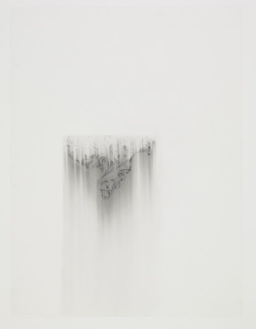   Wood Detai l, 2009, pencil on drafting film paper, 18 x 24 inches/ 45,5 x 61 cm 