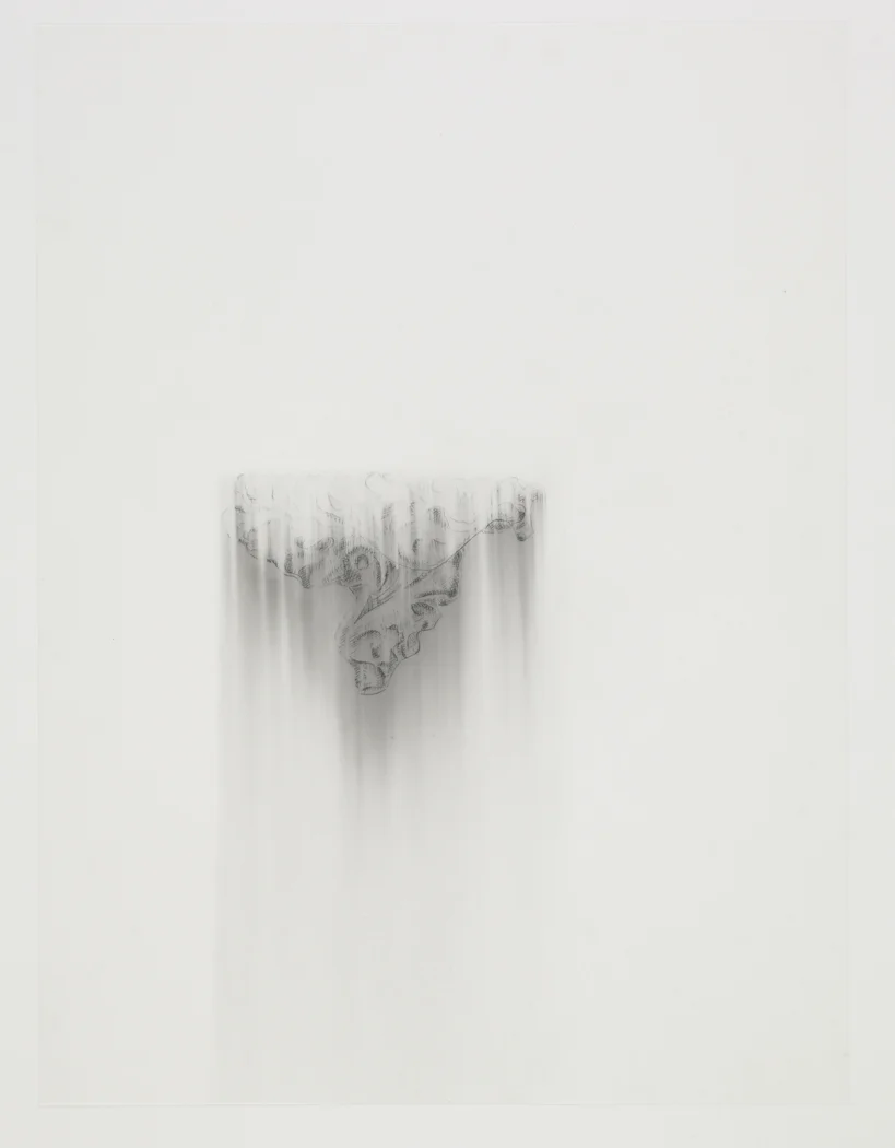 Wood Detai l, 2009, pencil on drafting film paper, 18 x 24 inches/ 45,5 x 61 cm